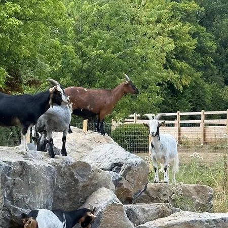 Le Du Haras